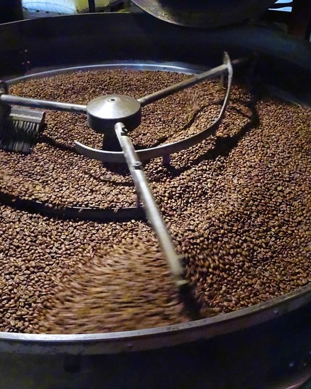 Grãos de café recém-torrados girando na bandeja de resfriamento